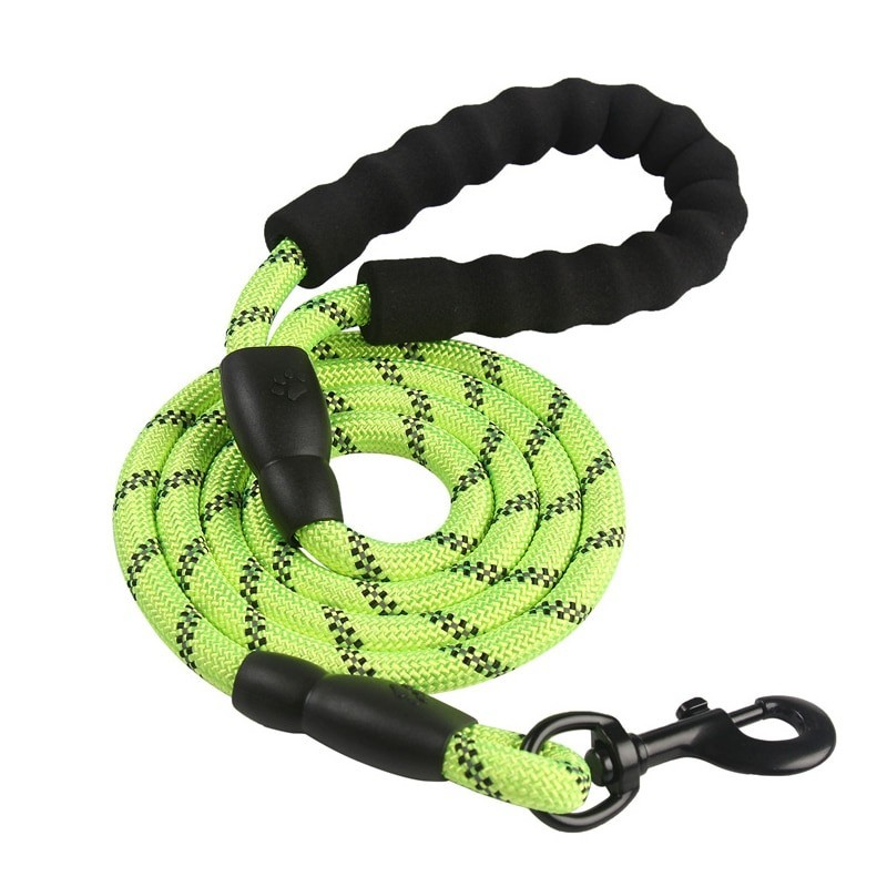 Double Duty Dog Leash – Purrs & Puppins