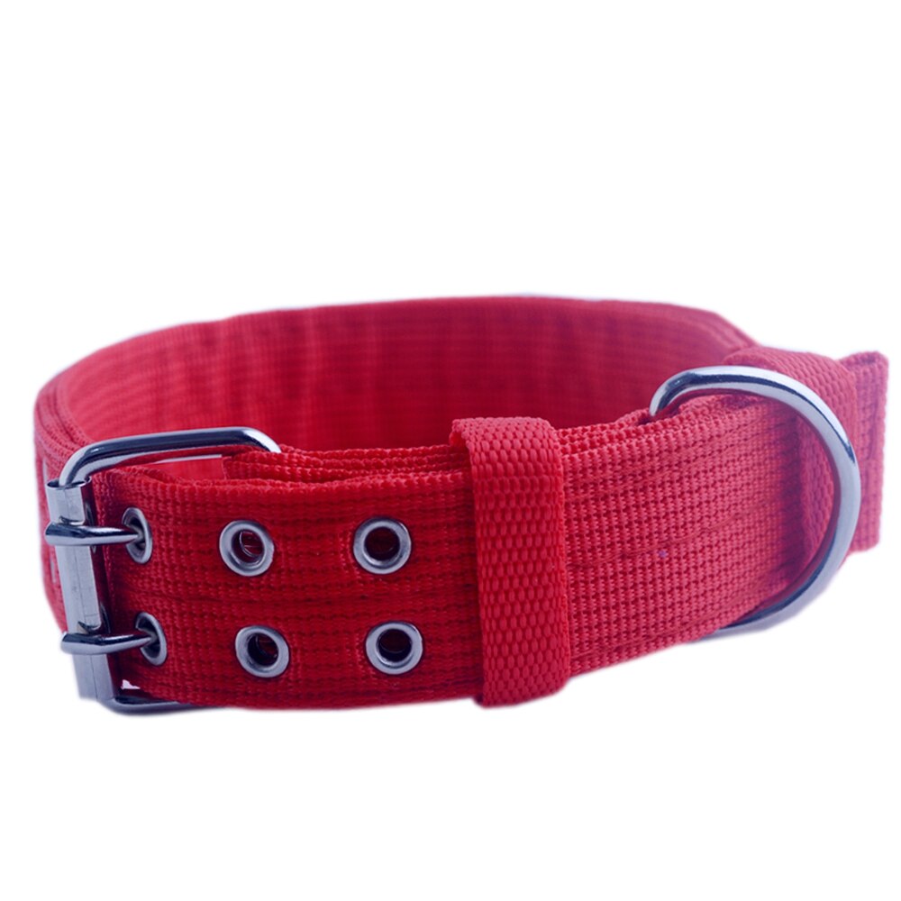 Canvas Dog Collar – Purrs & Puppins