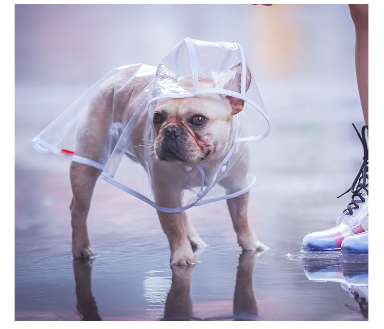 Dog Raincoat