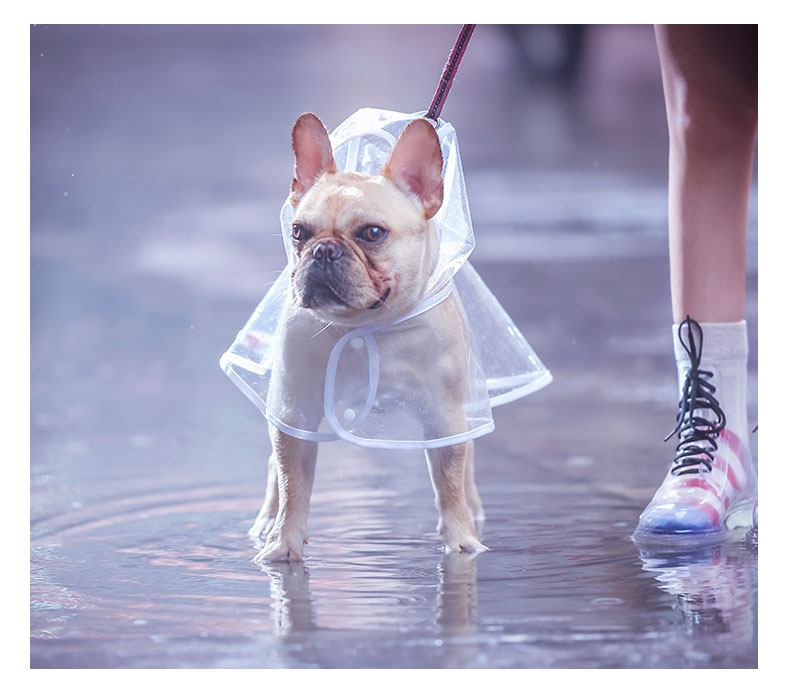 Dog Raincoat