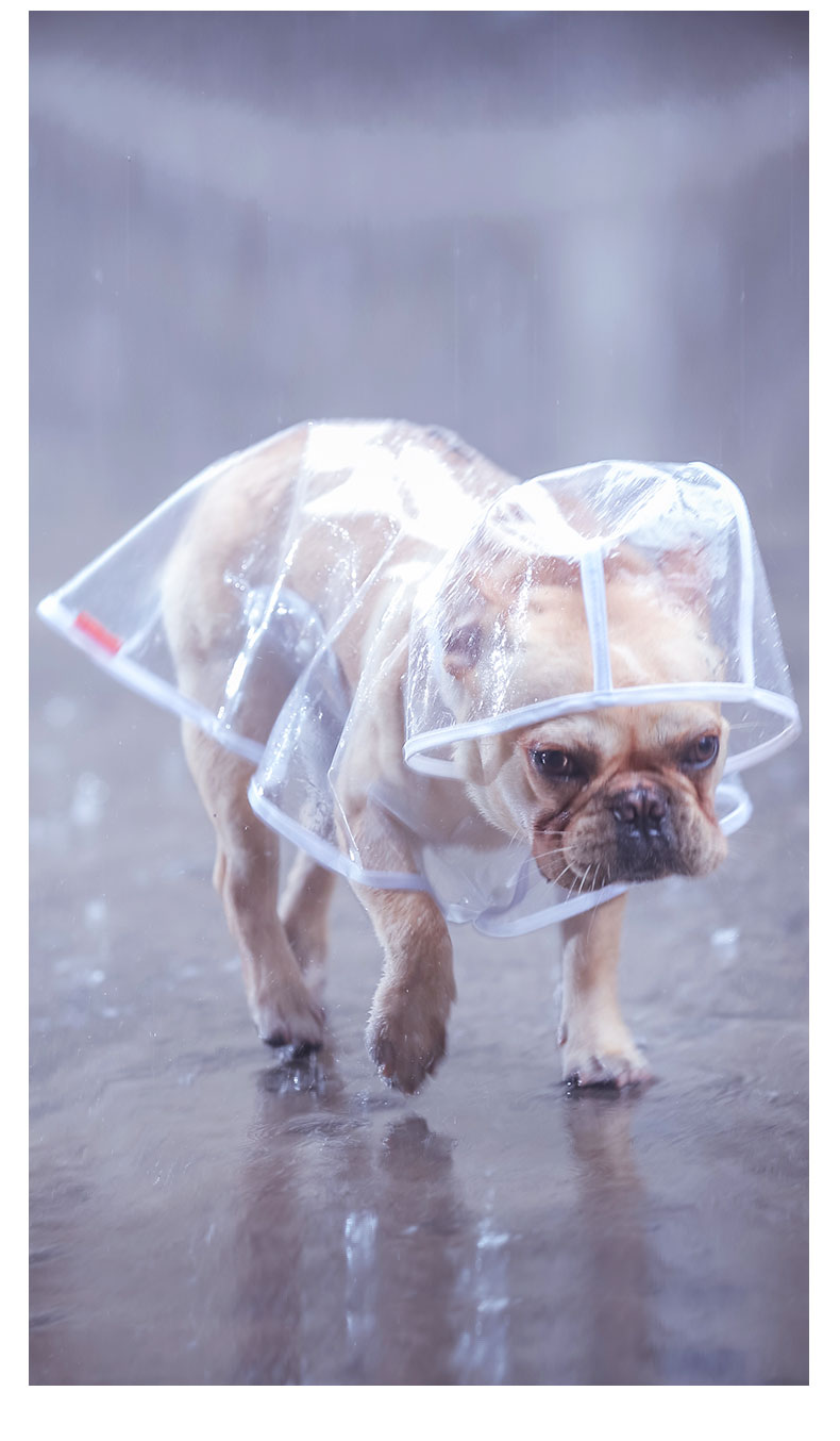 Dog Raincoat