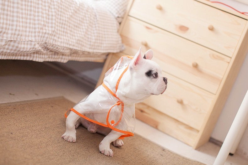 Dog Raincoat